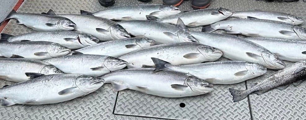 The Return of the Salmon: Alaska’s Living Tradition